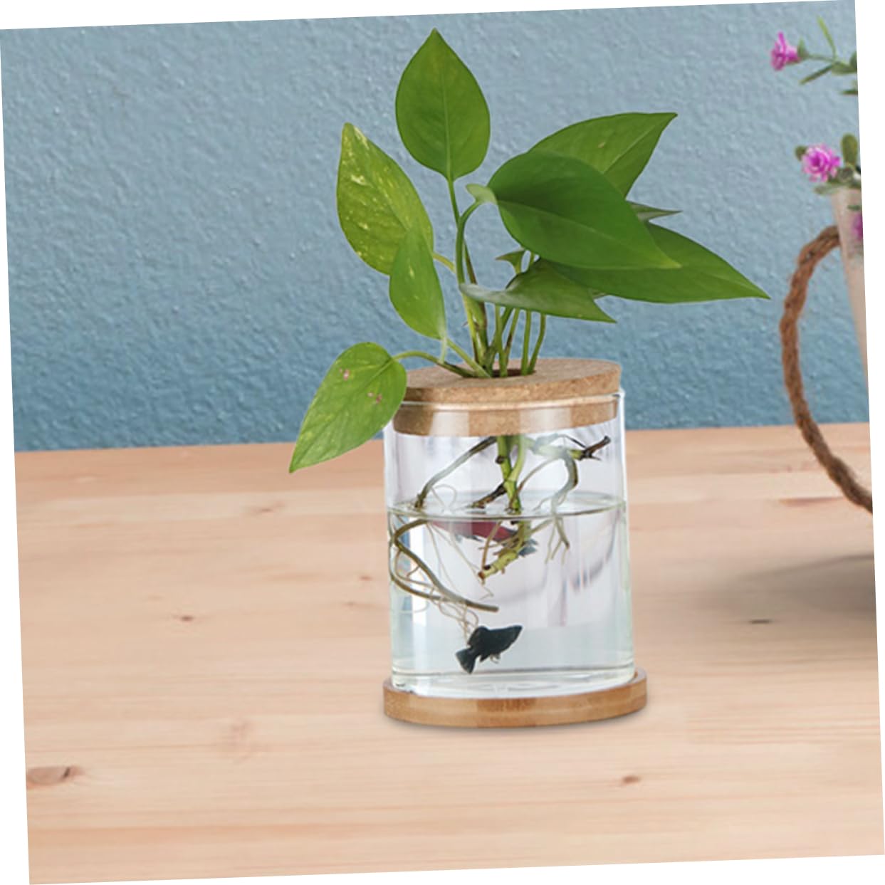 ORFOFE Bouchons en Liège et Matériau Naturel avec Trou Central Lot de 6 Design Polyvalent pour Vase en Verre Hydroponique pour Terrariums et Jardins Miniatures