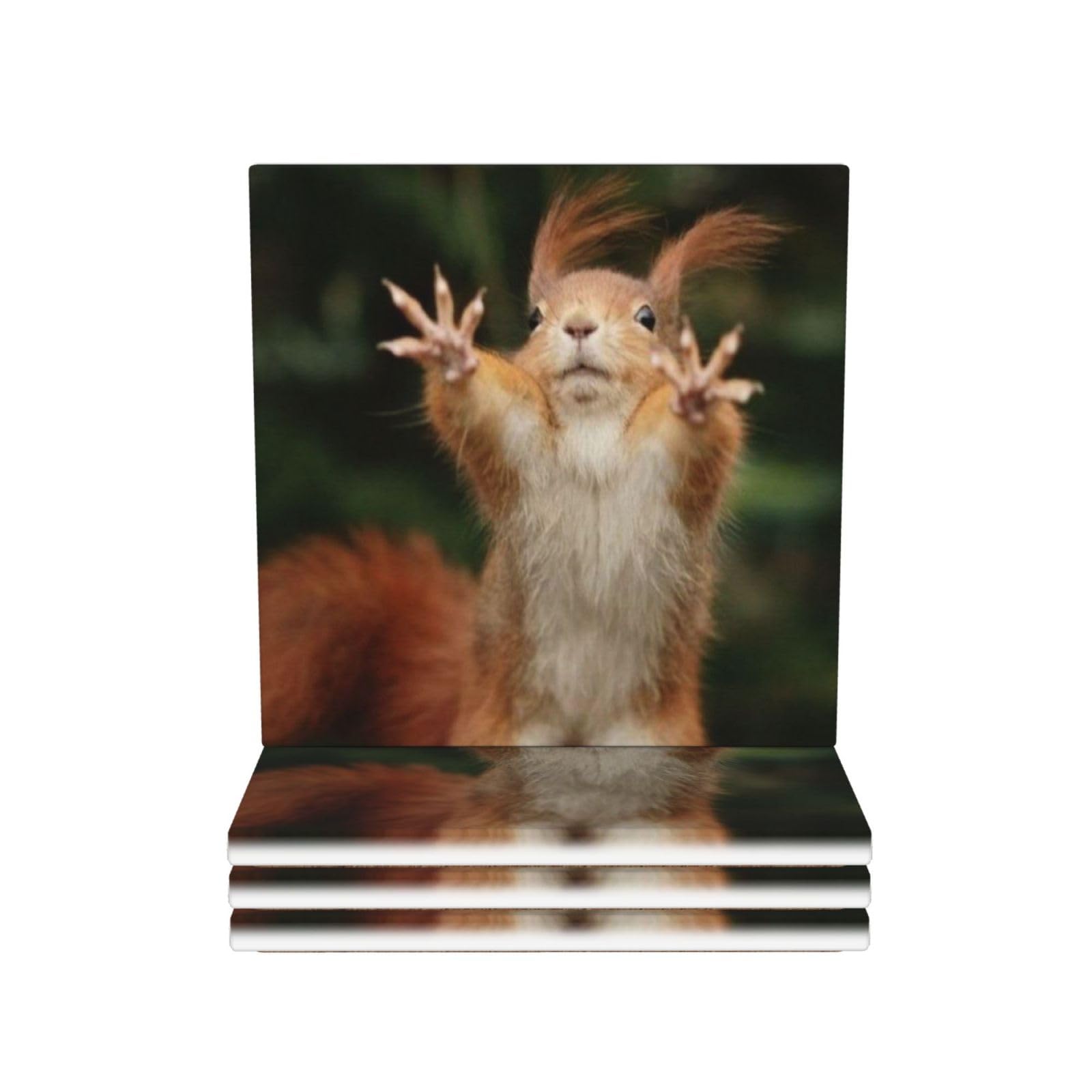 Set di 4 sottobicchieri in ceramica con stampa di scoiattolo divertente con animali