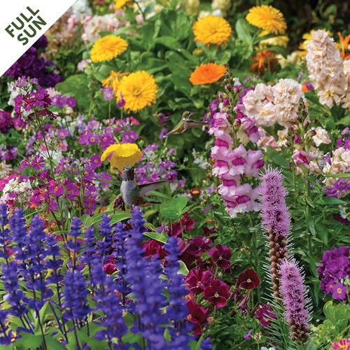 Seed Mat - Easy to Plant and Grow Garden Seeds - Creates Fragrant, Vibrant Flower Garden (Hummingbird Haven Flower Garden - 1 mat) - Thumbnail 2