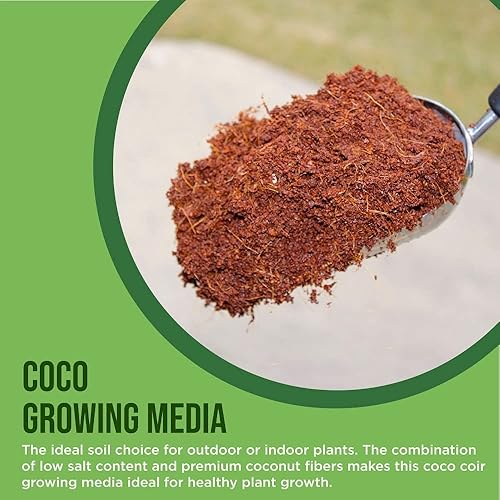 Miniatura 4 de Fibra de Coco Medio de crecimiento de coco orgánico Fibra de Coco Potting Soil 11-lb