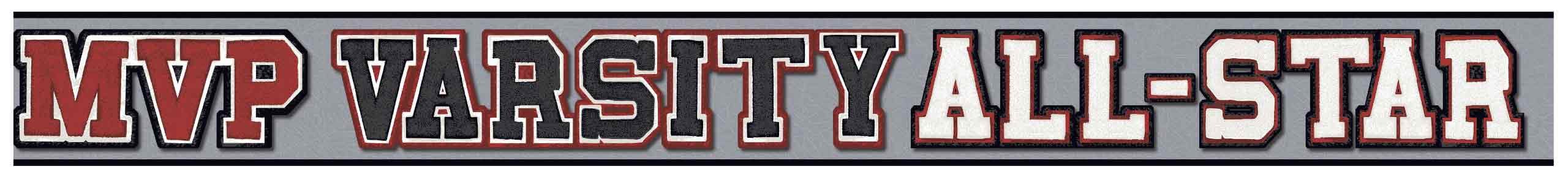 Bordure York revêtements MVP ZB3178BD profil de finition premium