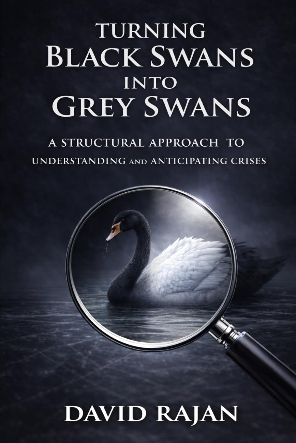 Turning Black Swans Into Grey Swans: A Structural Approach to Understanding and Anticipating Crises (Sustainxiety Institute Series on Economic Theory of Humanity)