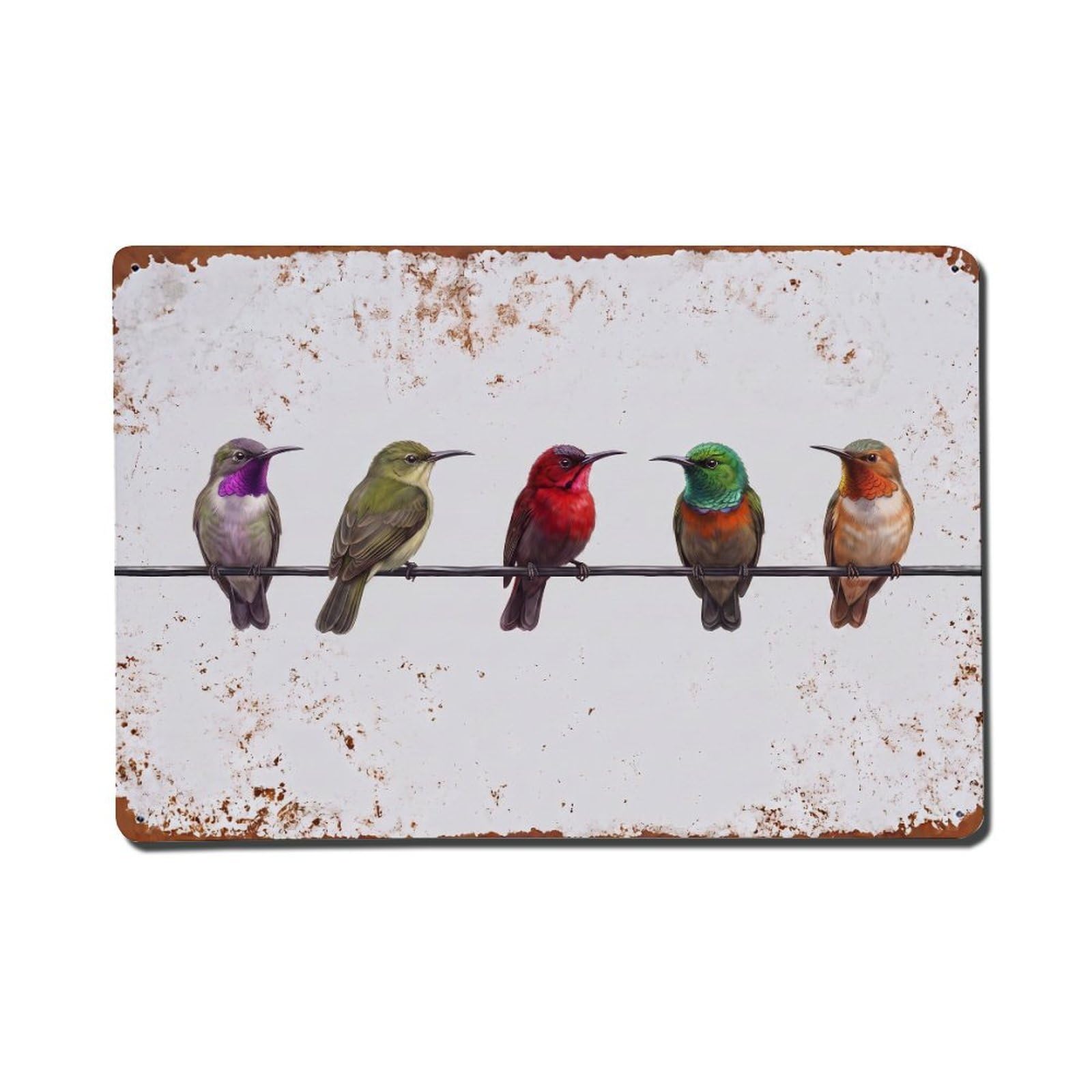 Vintage Retro Birds Sunbird Metal Tin Sign