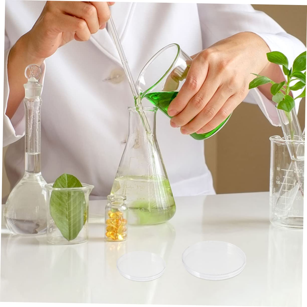 5pezzi Piastra Petri Trasparente Per Coltura Cellulare Per Esperimenti Di Laboratorio e Uso Scolastico