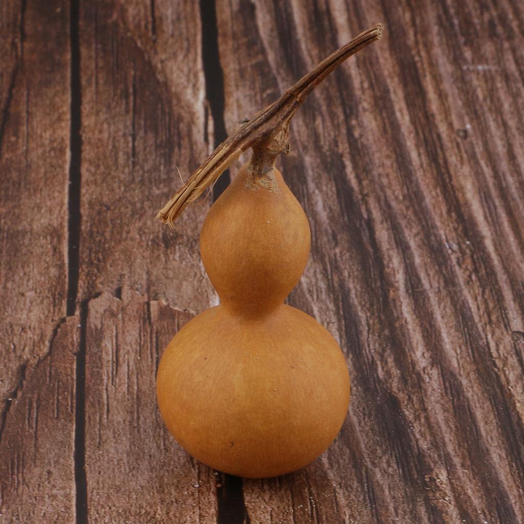 Amazon.co.jp: #N/A 風水アイテム 天然ひょうたん 乾燥ひょうたん 干し  