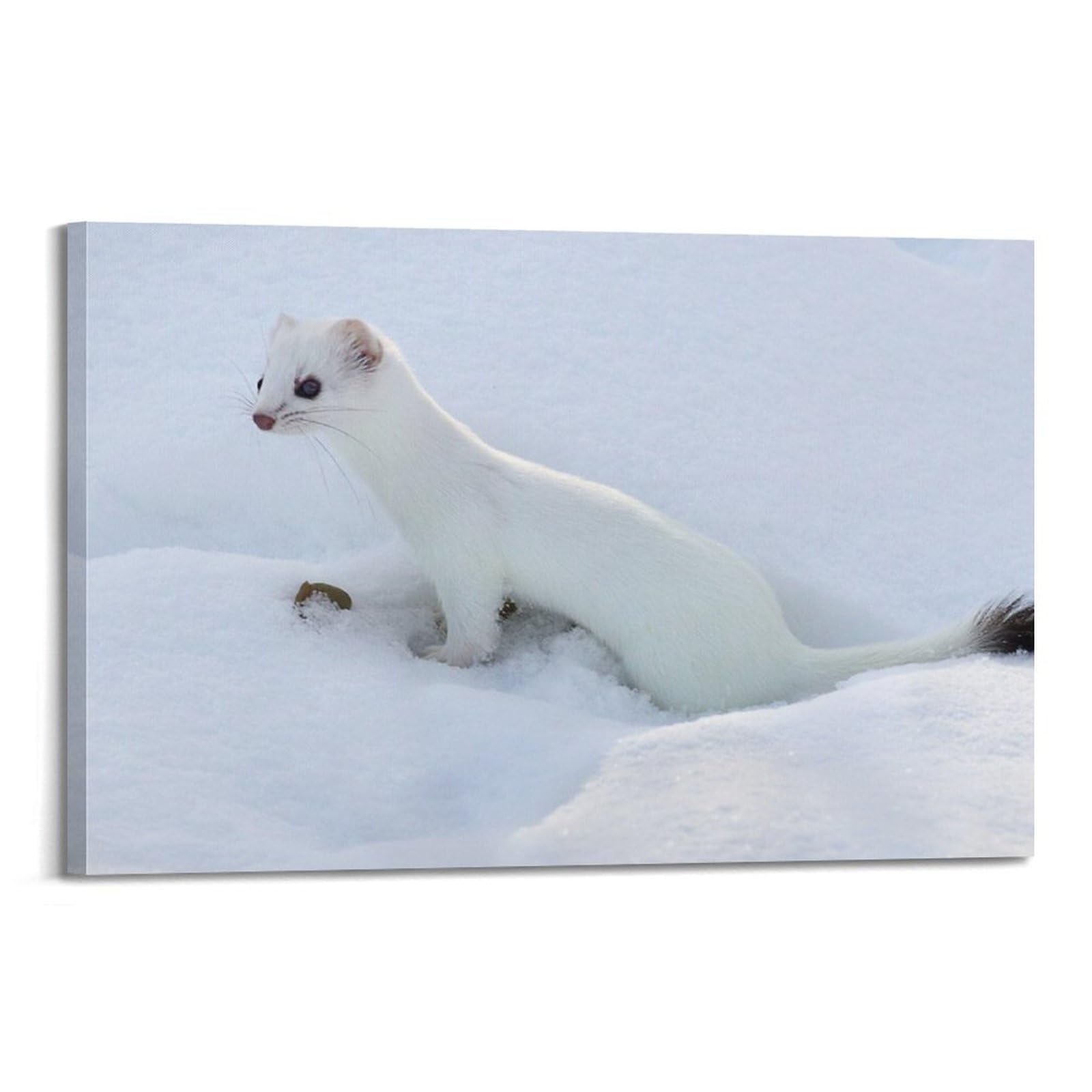 JIDUHON Stampa artistica da parete moderna su tela, motivo: Stoat with Mouse, per riprese documentarie, decorazione artistica da parete, 60 x 90 cm, con cornice