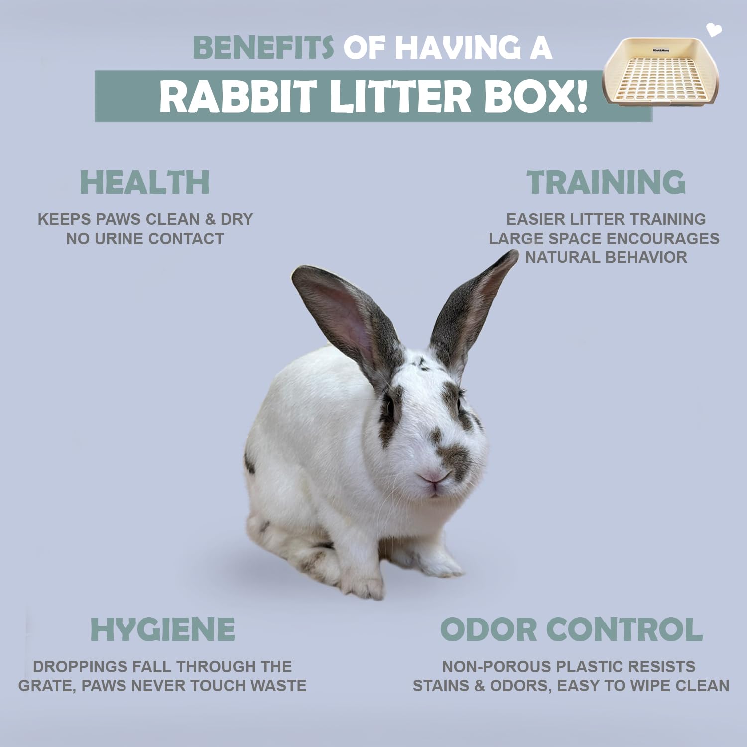 Rabbit Litter Box - Extra Large Bunny Litter Box, Easy to Clean and Disassemble, Prevents Odors and Stains. Training Toilet Pan for Guinea Pig, Hamster, Kitty, Ferret, Galesaur,Chinchilla - image 6