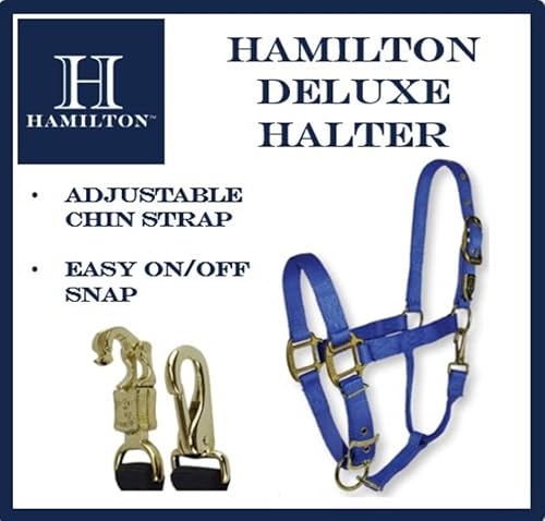 Miniatura 5 de Hamilton Caballo árabe de nailon de 34 pulgadas con barbilla ajustable y broche de garganta, promedio, 800 a 1100 libras, azul