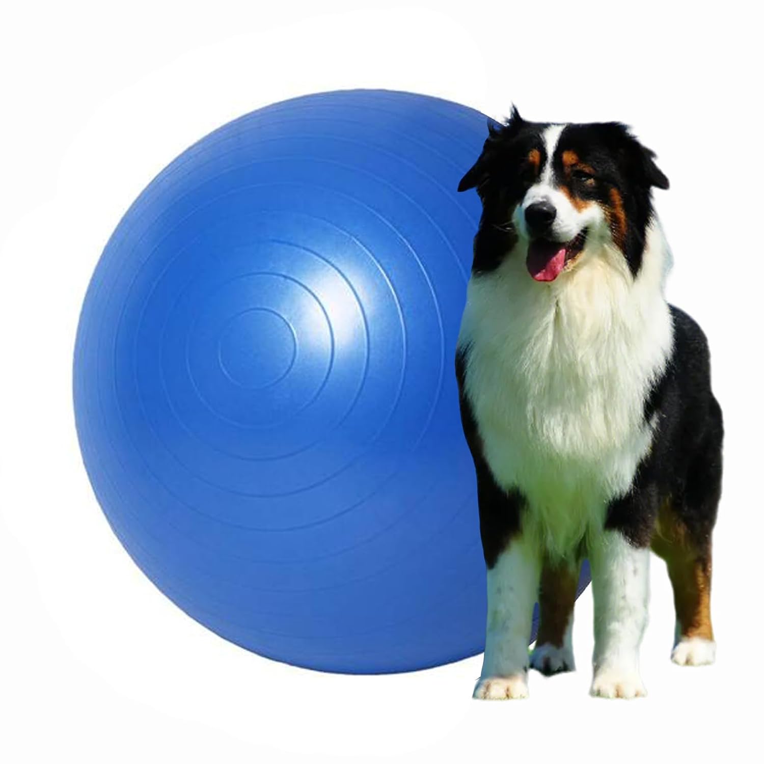 Herding Ball for Dogs 25 inch