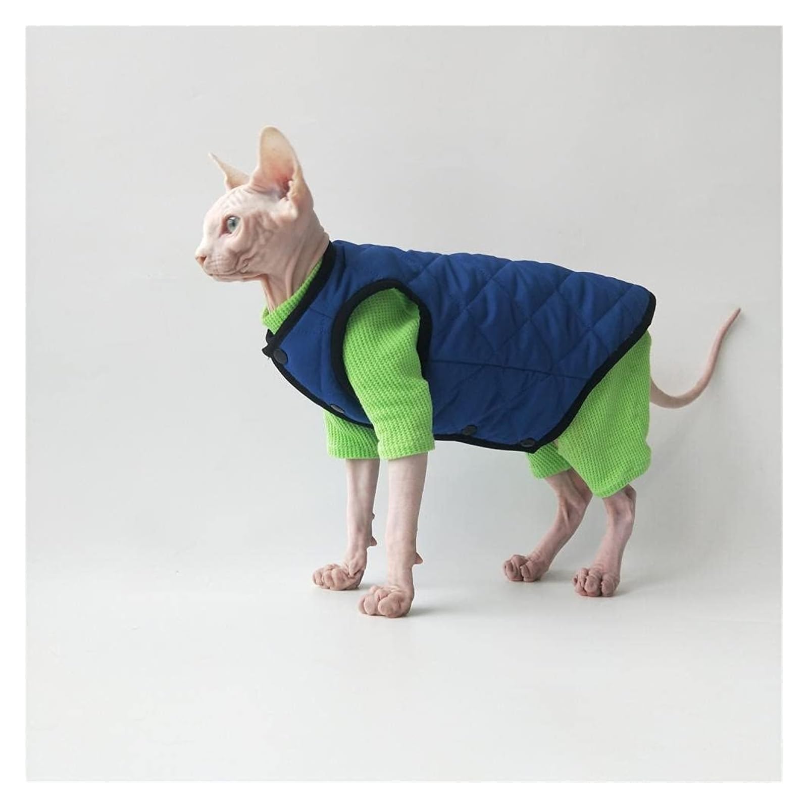 Odzież dla kotów, Koszula z kamizelką, ciepły kombinezon dla kota, odpowiedni sfinksa itp | Green+blue vest,XXL