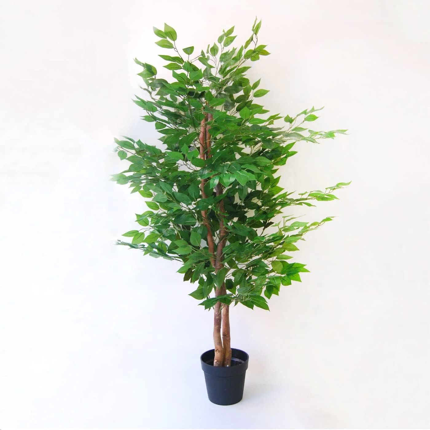 BLAINE | Ficus 59in | Decorative Artificial Plants | Large Artificial Plant | Artificial Plants for Indoor/Outdoor use | Realistic Decorative Artificial Plant for Home
