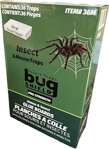 Bug Shield - Trampas adhesivas de pegamento para 36 tableros de pegamento, todo tipo de incetes, arañas, cucarachas, hormigas, grillos de cueva y