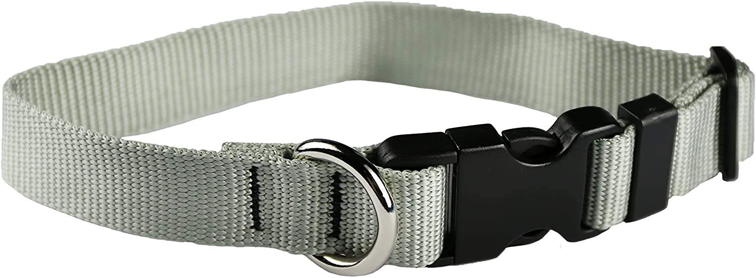 Dog Collar - Colored Adjustable Pet Collars – 3/4 Inch Wide, Small, Silver Gray