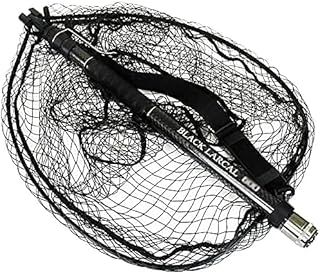 Amazon Co Jp タモ 6m