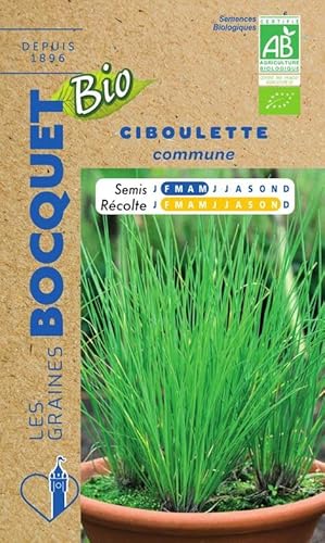 Sachet de graines de Ciboulette Bio - 0,50g - Les Graines Bocquet