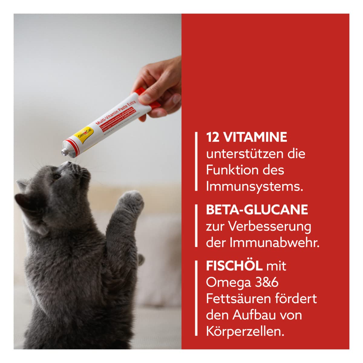 GimCat Multi-Vitamin Extra Pasta multiwitaminowa, z kwasami tłuszczowymi omega-3 i omega-6 dla ochrony komórek - 1 tubka (1 x 200 g) & GimCat Multi-Vitamin pasta multiwitaminowa