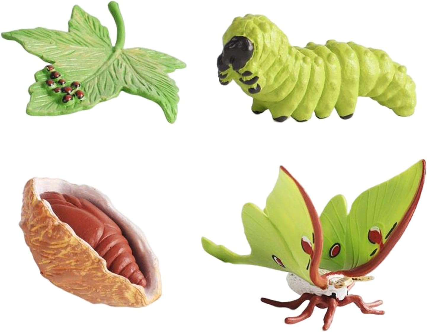 Gepnoo Life Cycle Figurines Animal Growth Model Figure Early Learning