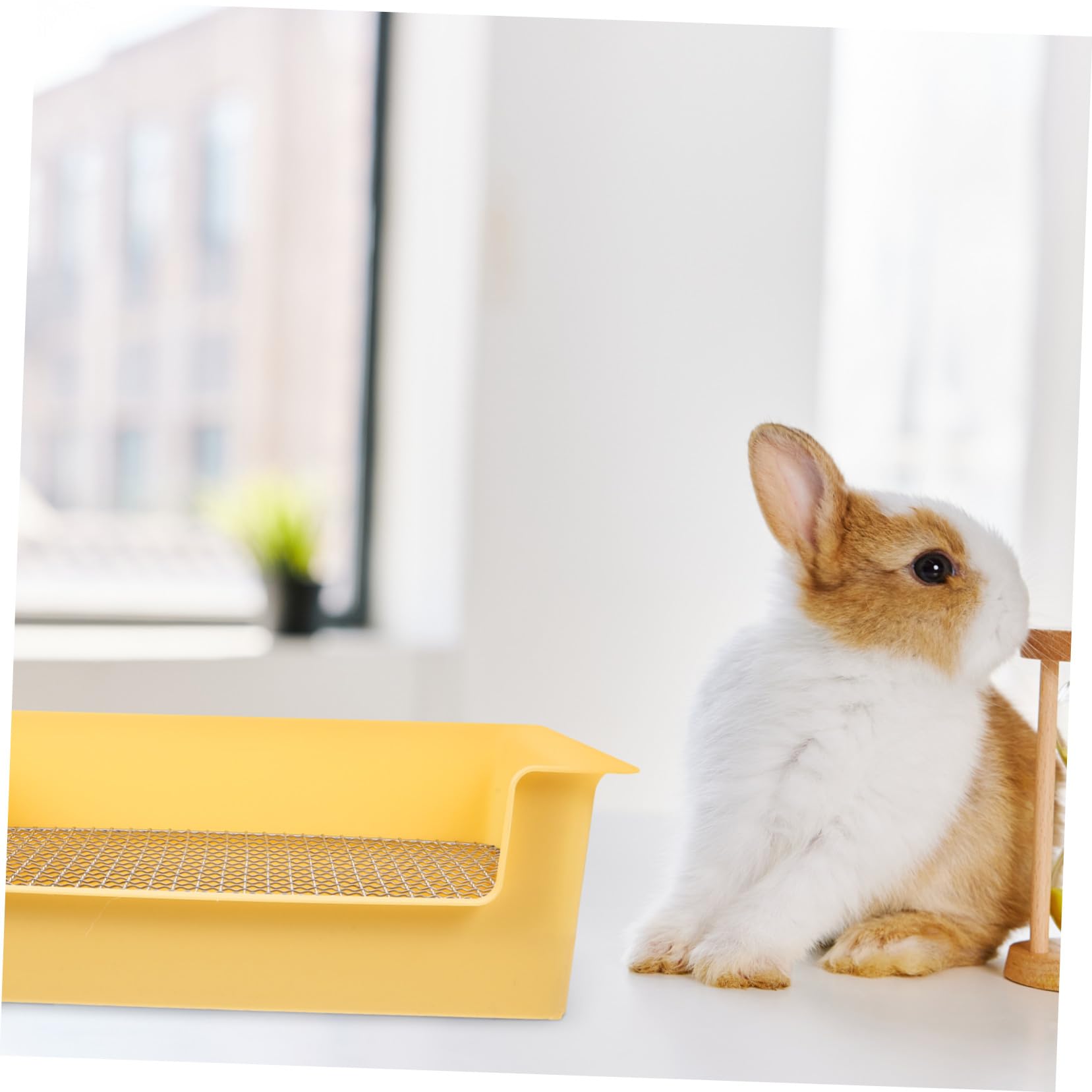 Lettiera per Conigli e Animali con Rimovibile Vasino Truciolo per Criceti e Porcellini d Quadrata Antigoccia per Addestramento Dwarf Rabbit