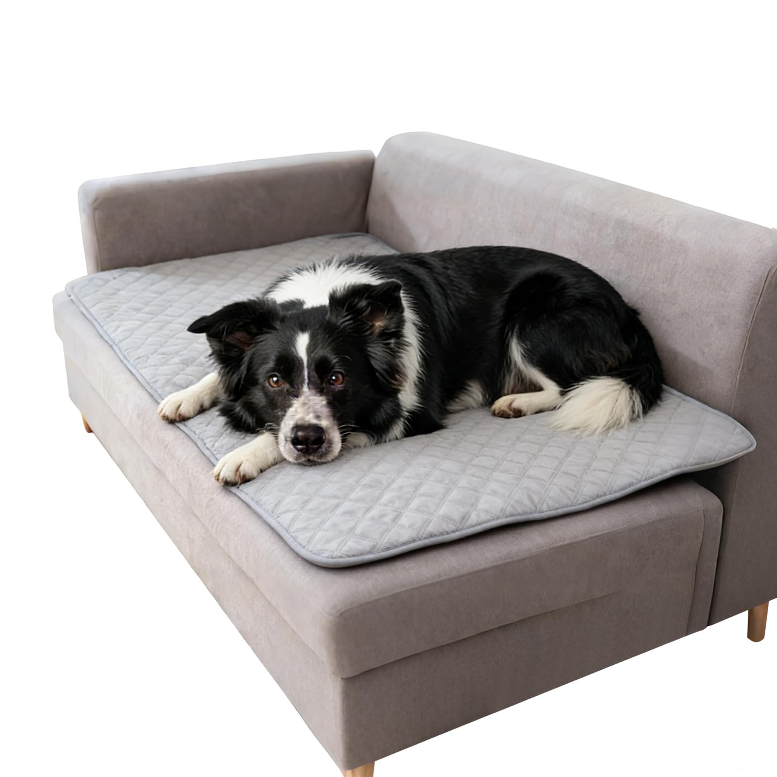 100 x 150 cm - Imperméable - Gris clair - Protection de canapé - Antidérapant - Lavable - Pour les déplacements - Pour canapé, lit, voiture, chiens, chats, animaux domestiques