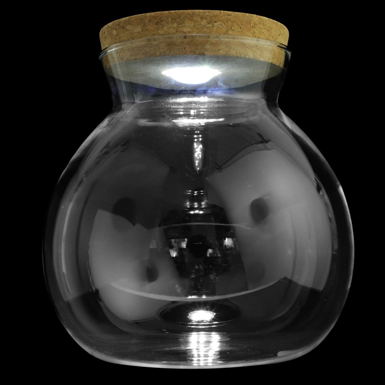 NUOBESTY Landschaftsflasche Tank Fisch Landschaftsbau Flasche Flasche Klare Vase Terrarium Led-Topf Glaswaren Sehr Glas Mit Deckel Mikrolandschaftshalter Hochwertiges