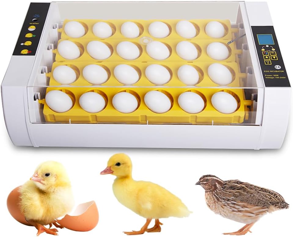 24 Eggs Incubator with Automatic Egg Turning, Humidity Control and Egg Candler Light, Multifunctional Chick Cozy Incubator with Temperature and Days Display for Hatching Chicken Quail Duck Eggs