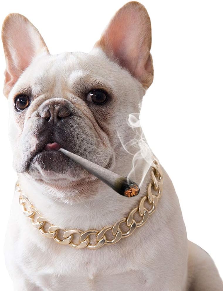 MuYaoPet Cuban Curb Gold Dog Choke Chain for French Bulldog Medium Large Dog Necklace Pitbull Pug Collar (15mm Wide 14.5” Length) (Length: 14.5” Wide: 15mm, Gold)