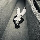 druski [Explicit]