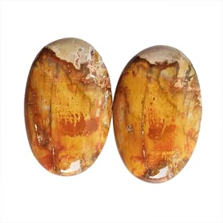Förtjusande intryck naturlig förstenad trä jaspis par cabochon storlek 28 x 18 x 5 mm oval form sten för örhänge smyckestillverkning sedimentär sten fossiliserad palm sten maj smycken gåvor