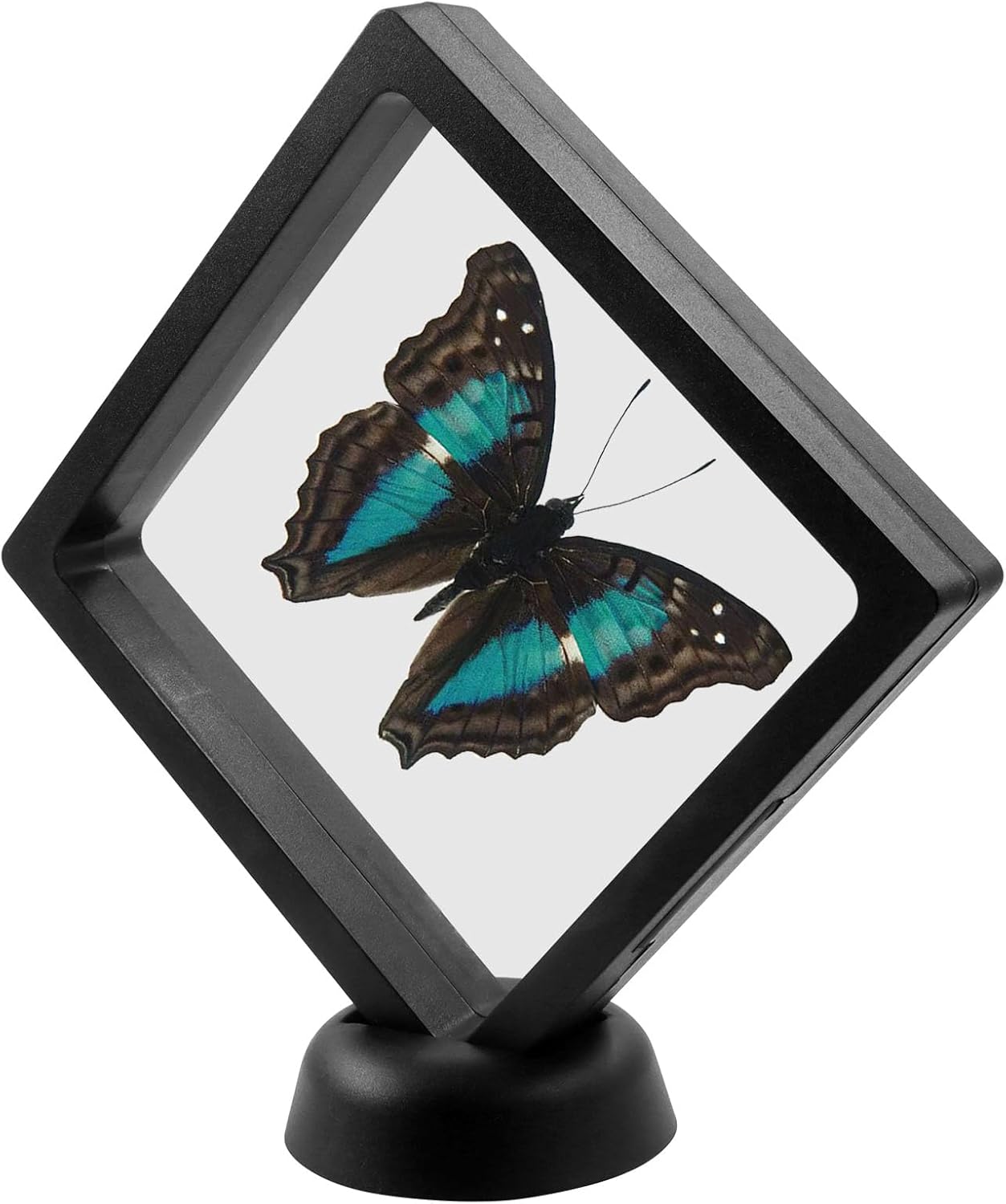 6Pcs 3D Floating Display Case, 4.3x4.3Inch