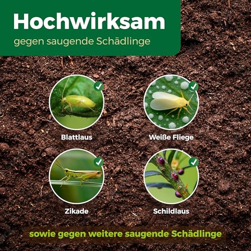 PROTECT GARDEN Lizetan Plus Schädlingsfrei AF, Blattlausfrei, Blattläuse und Schädlinge bekämpfen an Zierpflanzen, Rosen, Obst und Gemüse, 500 ml Spray 3