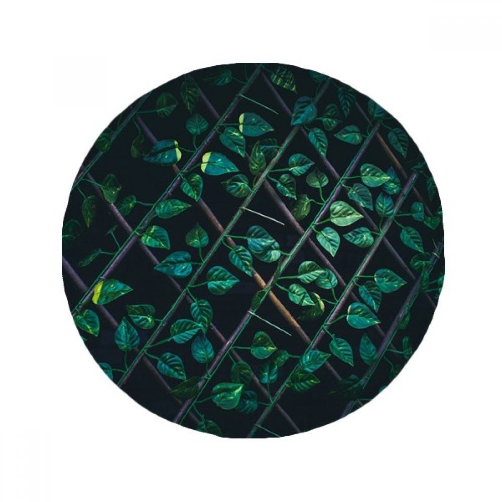 Tapis de sol plante 50x50 cm rond antidérapant pour cuisine et salon