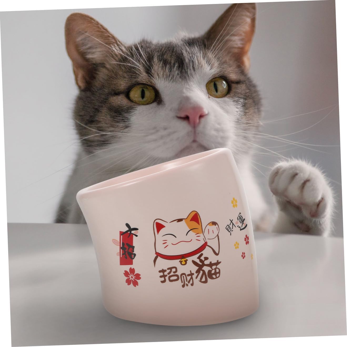 balacoo 1pc Non- Elevated Ceramic Cat Bowl Tilted Design for Comfortable Feeding Drinking Easy to Pet Dish for Cats Puppies Spill Resistant Base