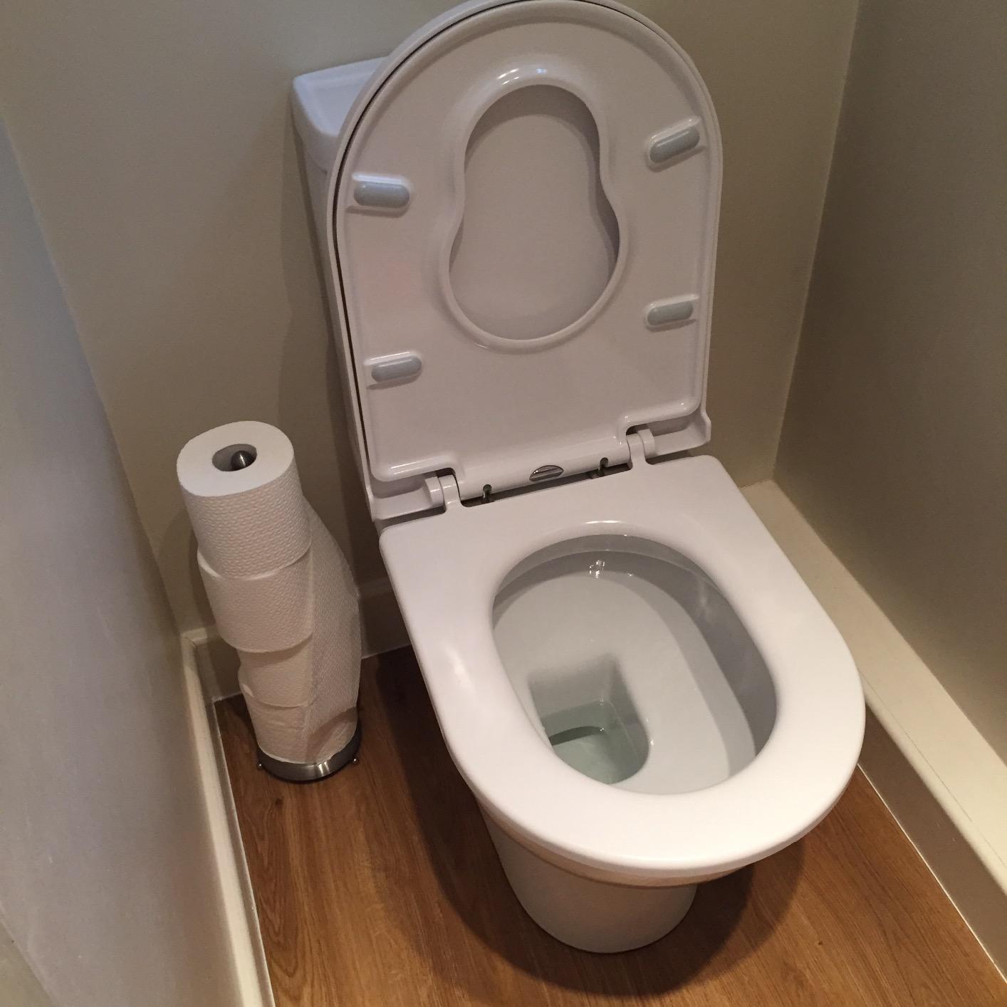 Premium Soft Close White DShape Toilet Seat for Young Families Child