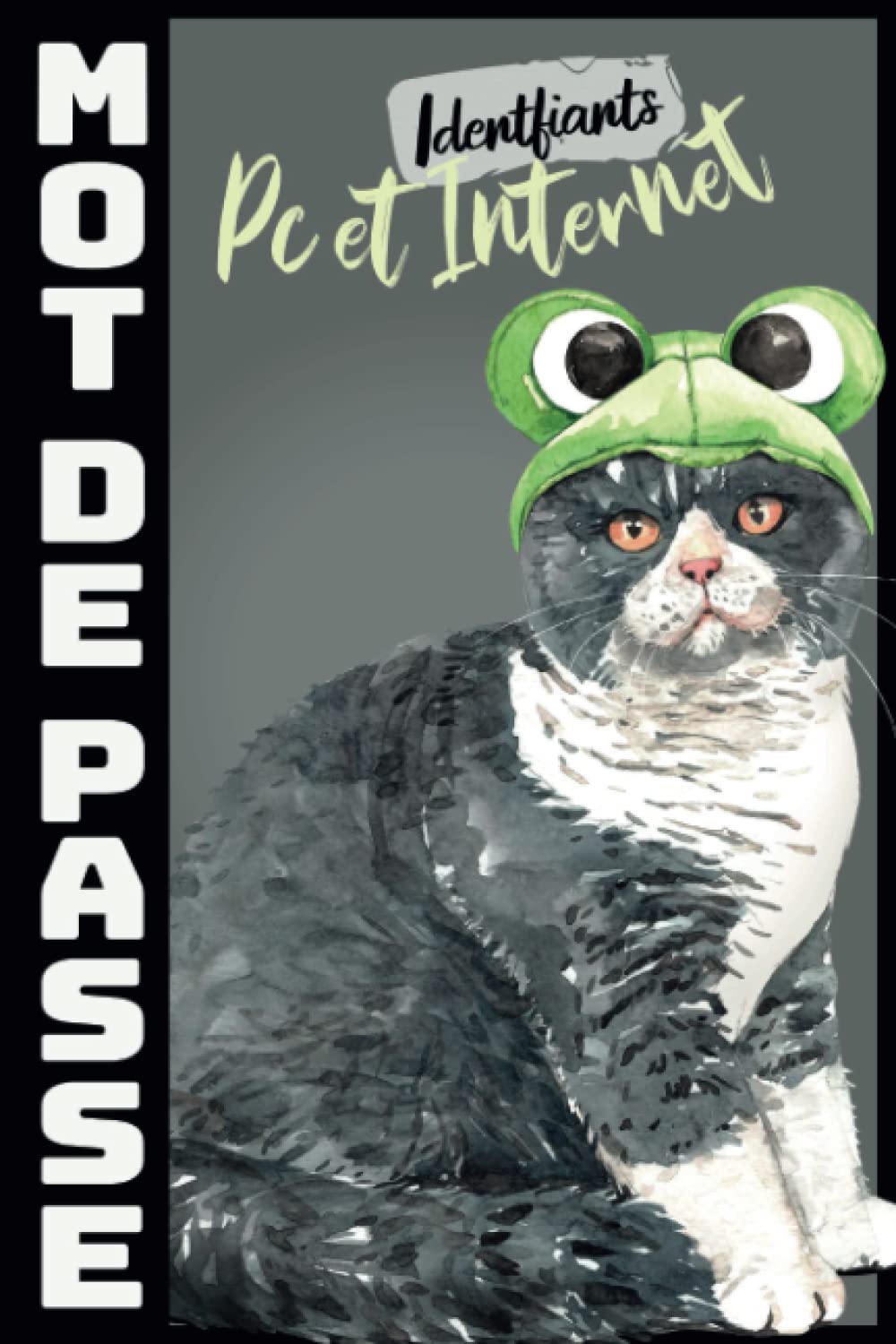 Livre de Mot de Passe: Carnet de Codes Secrets Livre Pour Préserver Soigneusement Chaque Identifiant et Code Secret Web | Idee Cadeau Homme 30 Ans