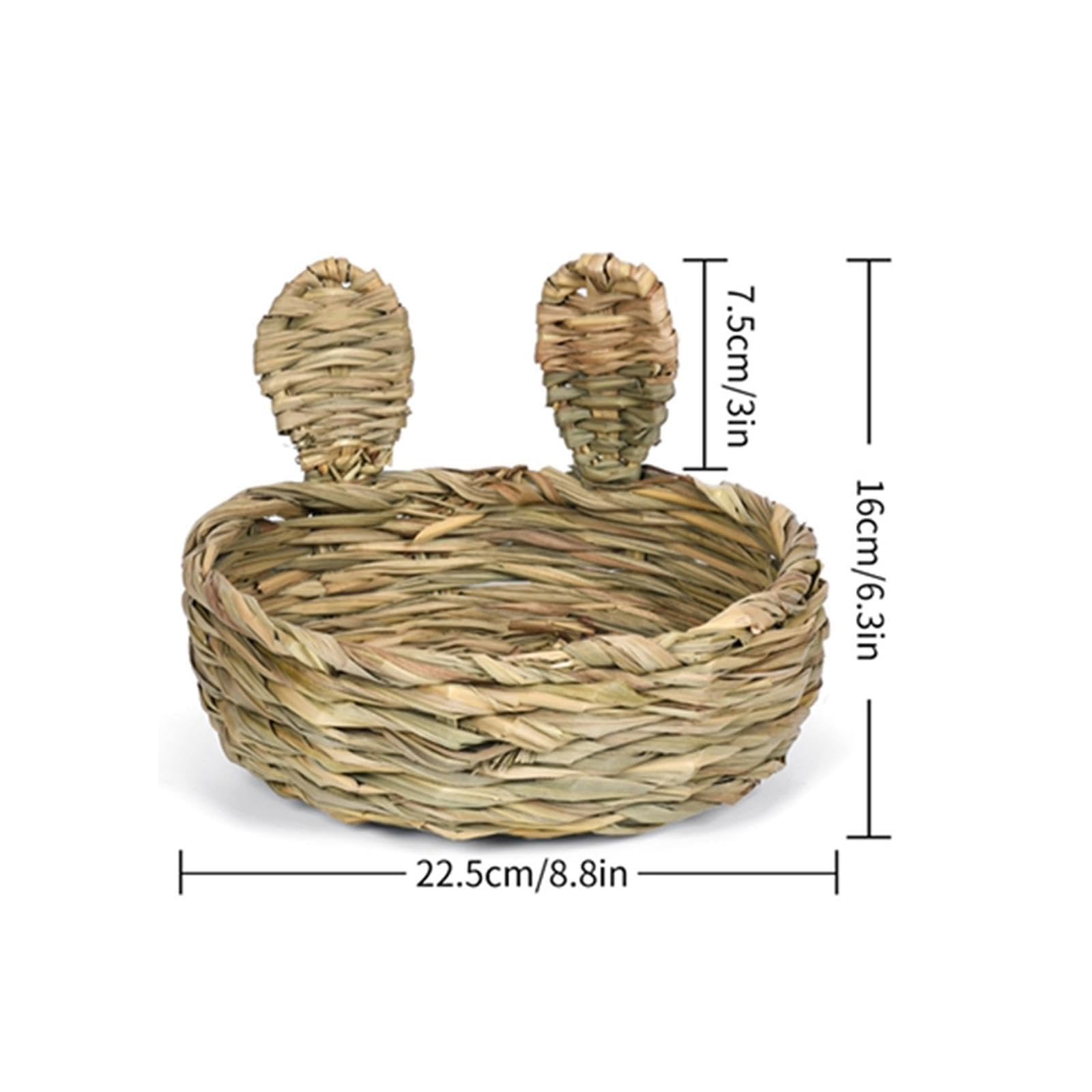 View 8
