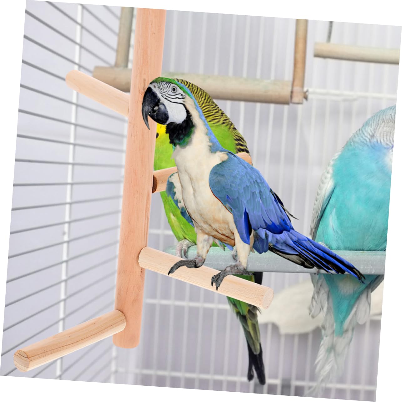 Yardwe 10 Piezas Pájaro De Juguete Jaula De Pájaros Perchas para Jaulas De Pájaros Accesorios para Percha De a para Periquitos a De Pájaro Cacatúa Juguetes De Madera