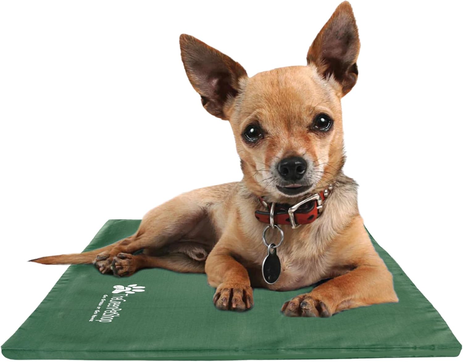 The Green Pet Shop Dog Cooling Mat Cover, Extra Small - Protect Your Gel Cooling Mat for Dogs from Dirt and Damage - Easy-Care and Machine Washable - Green