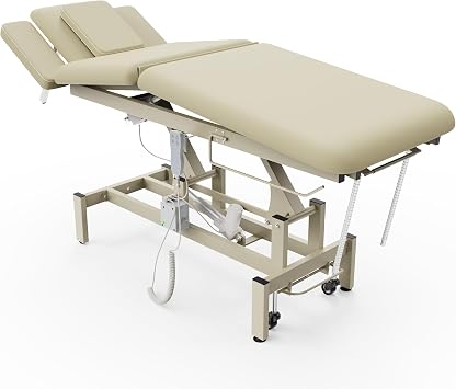 Professional Electric Massage Table, 2 Motors Hydraulic Electric Lift Adjustable Waist and Height Lifting Functions for Treatment/Physical Therapy/Spinal Massage/Facial Spa/Waxing - Beige Gray