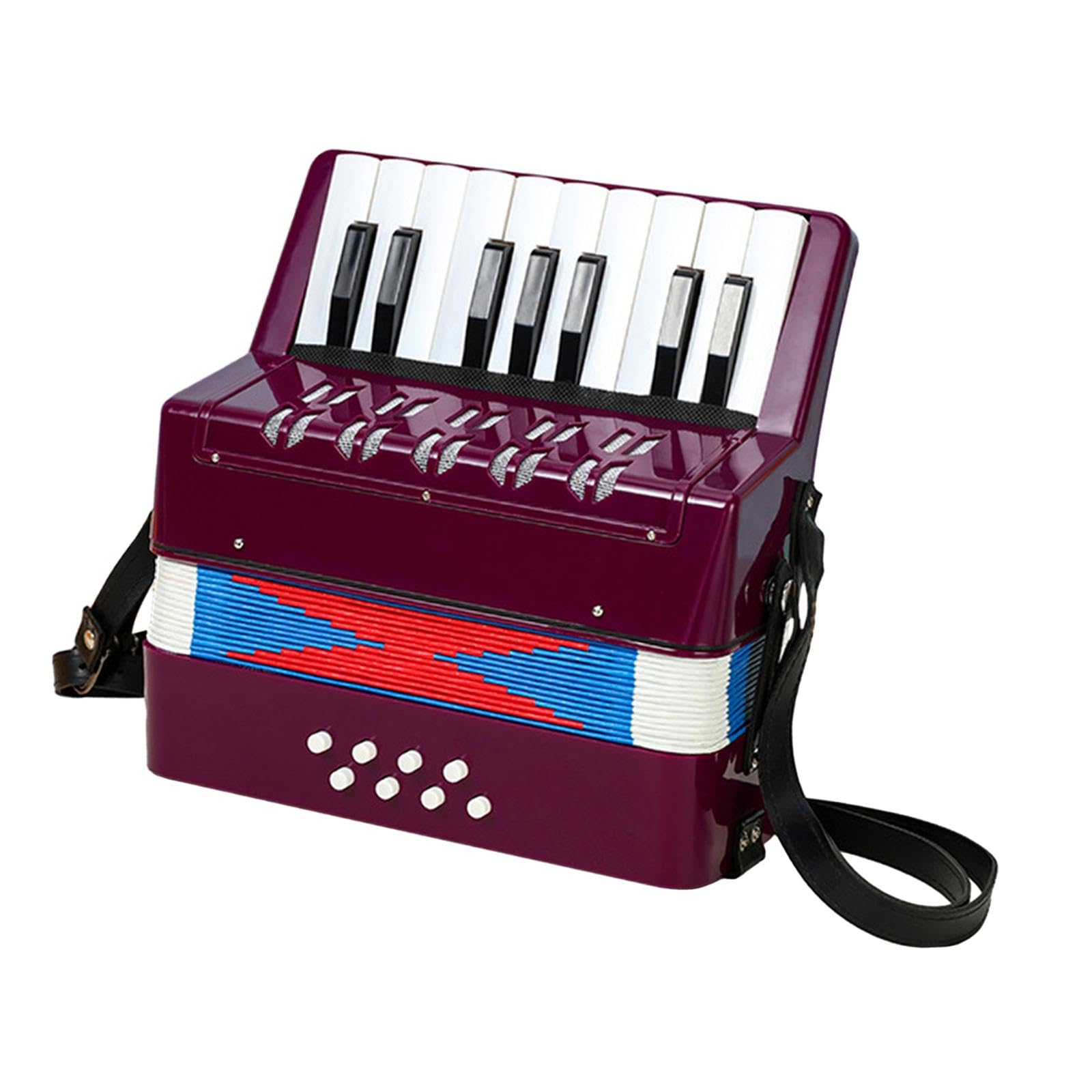 Amazon.co.jp: Generic 17 キー 8 ベースピアノアコーディオン子供