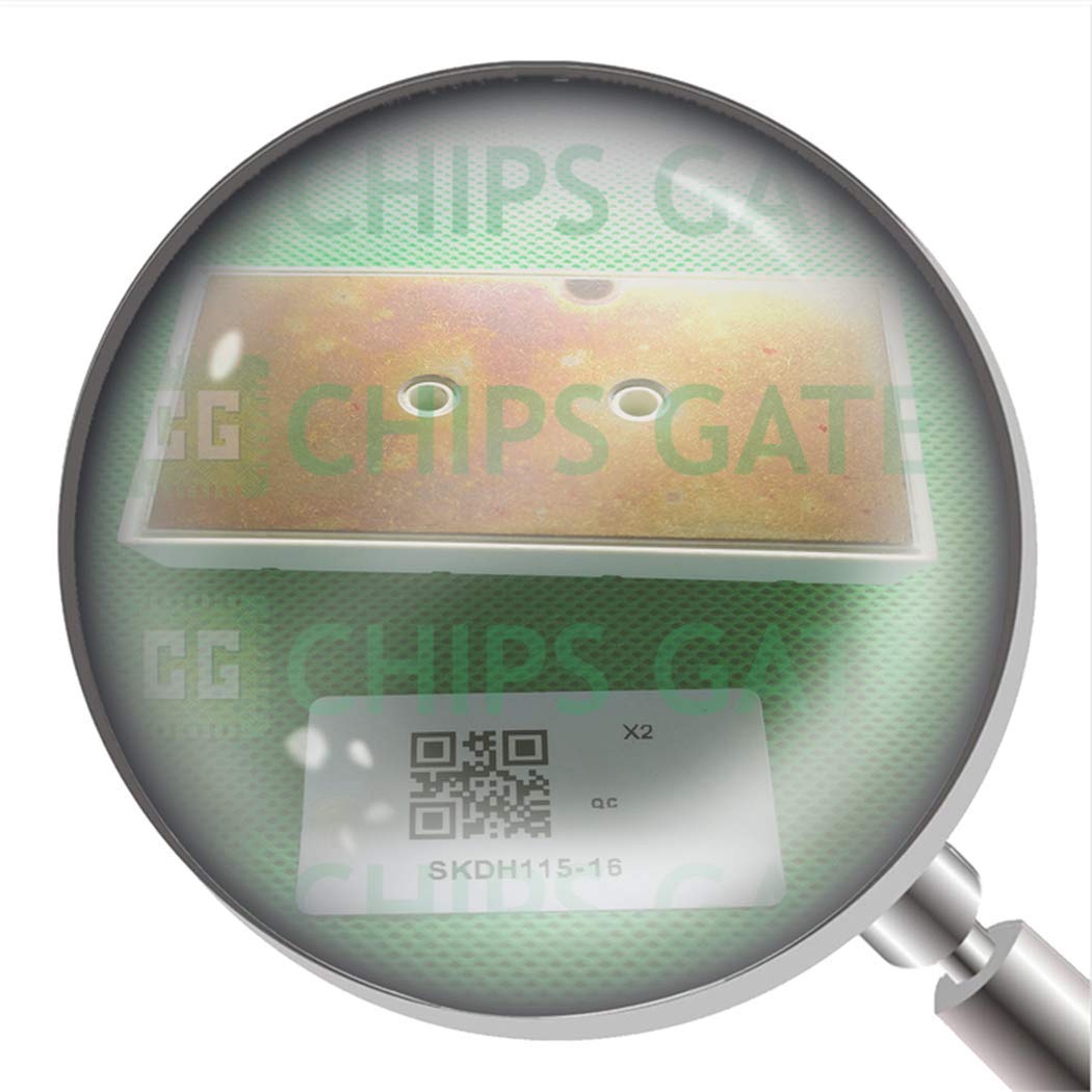 SKDH115-16 1Pcs New Skdh115/16 SKDH115-16 Skdh11516