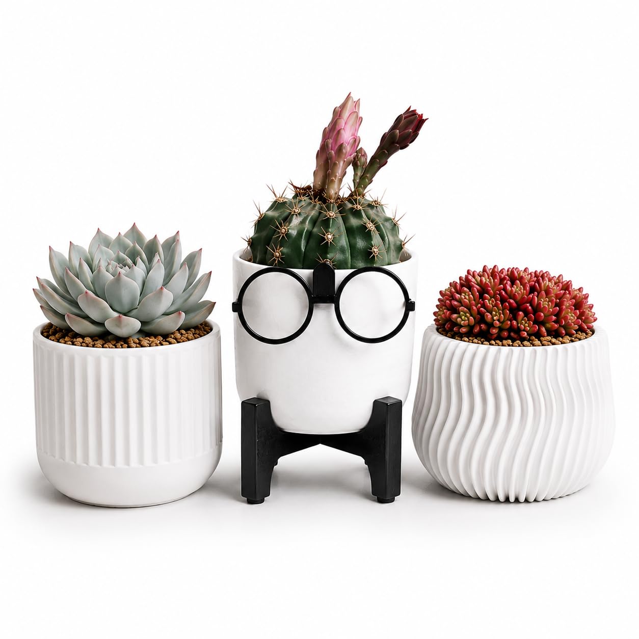 Petits pots pour plantes succulentes sur un bureau moderne