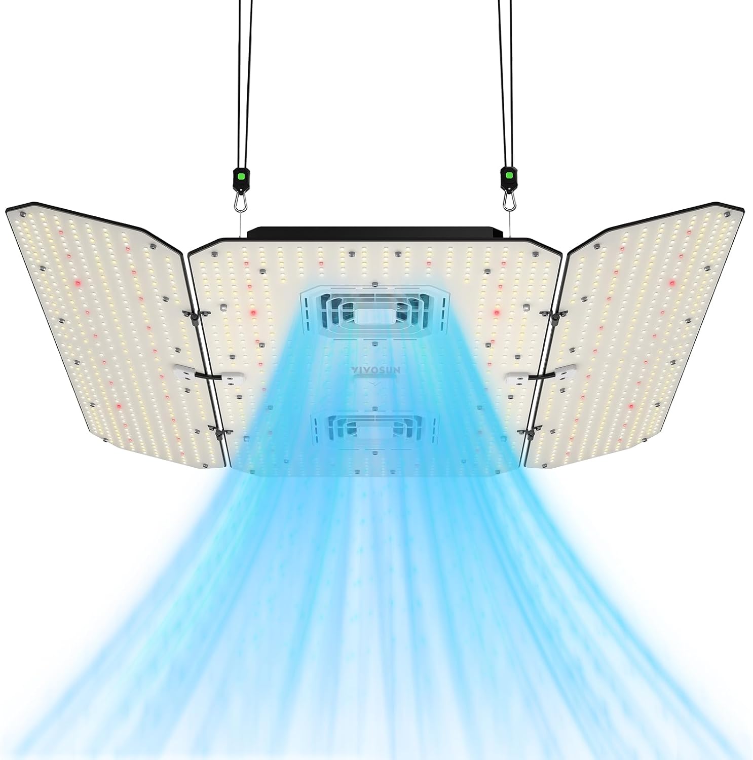 May The Odds Be Ever In Your Favor!