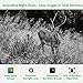 GardePro A3 Trail Camera 24MP 1080P, H.264 HD Video, Clear 100ft No Glow Infrared Night Vision, 0.1s Trigger Speed, 82ft Motion Detection, Waterproof Cam for Wildlife Deer Game Trail