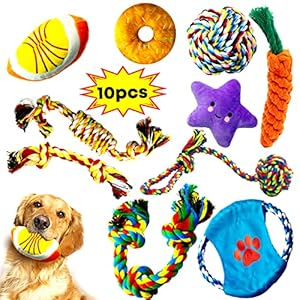 Decyam Dog Toys 10 Pcs Puppy Toys: Dog Chew Toy for Small Dogs Dog Rope Toy Puppy Tug of War Toy Dog Toys from 8 Weeks