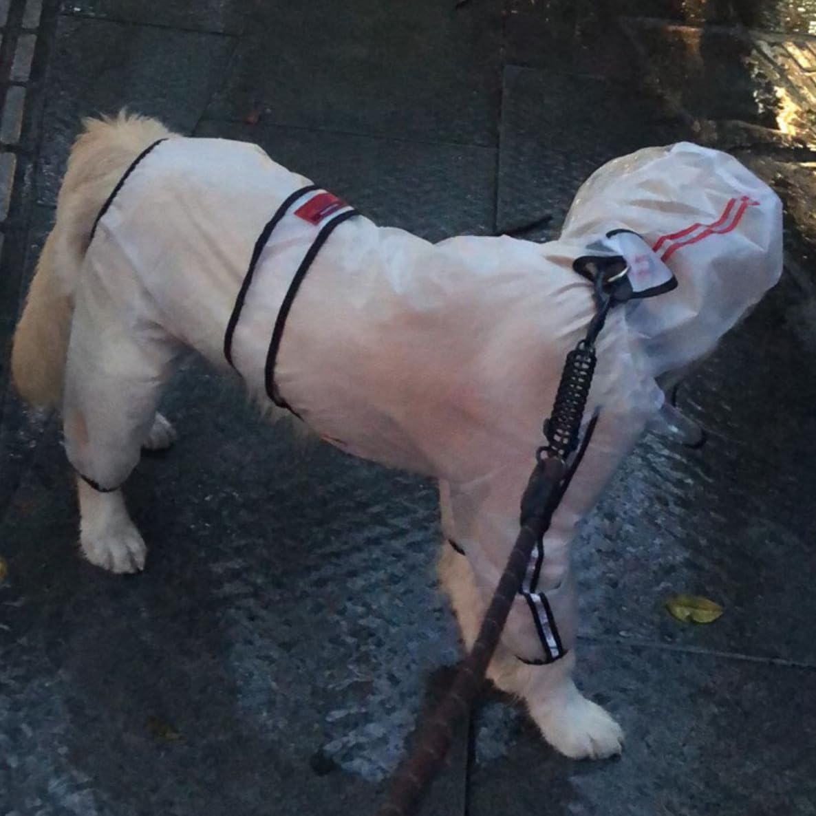Chubasquero para perro con patas, impermeable transparente de cuatro patas para perros grandes, impermeable con tiras reflectantes y capucha para perros medianos y grandes (7XL)