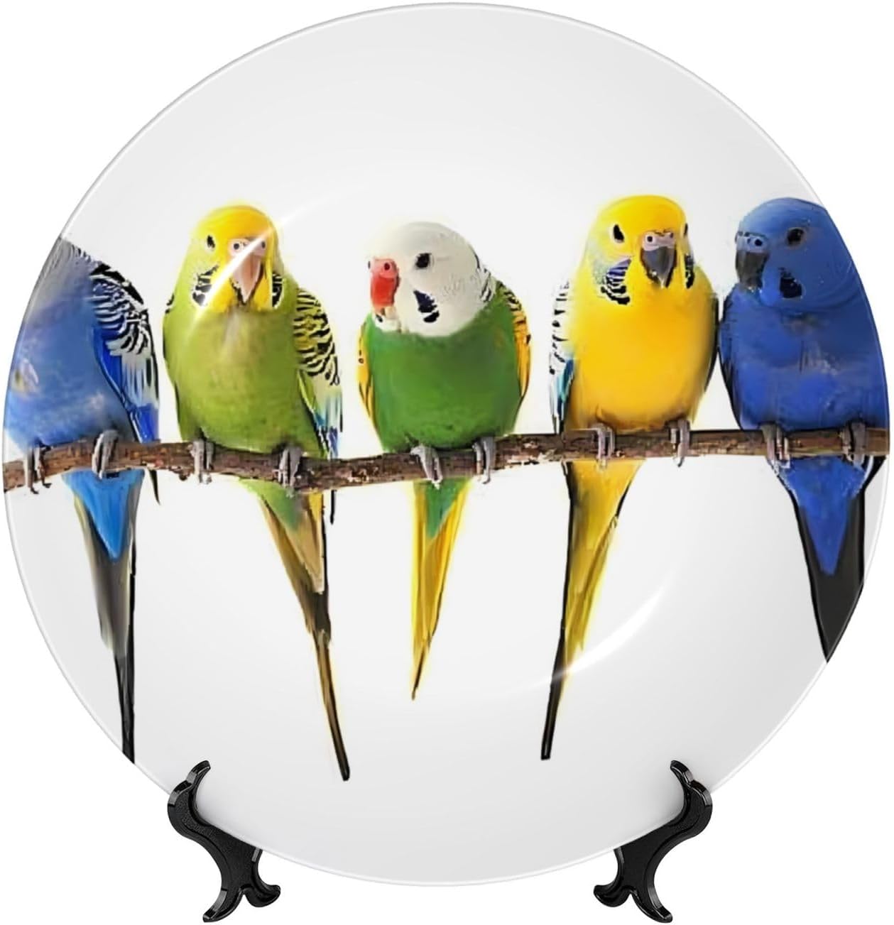 Colorful Australian Parakeets Style Ceramic Plate Display Home Display With Stand Wall Hanging Plate For Home Decor 10 Inch