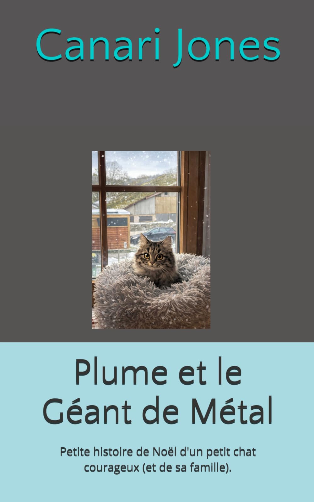 Plume et le Géant de Métal: Petite histoire de Noël d'un petit chat courageux (et de sa famille).