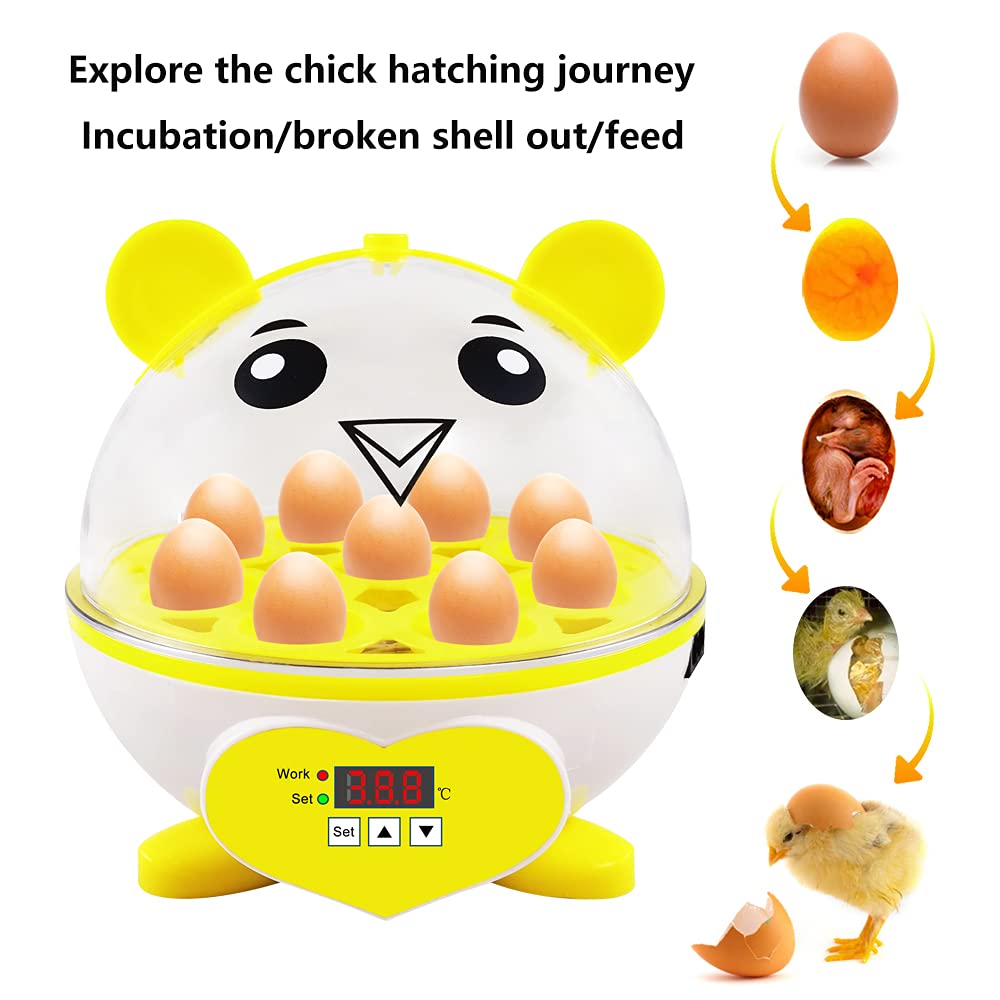 Incubatrice per uso domestico Controllo automatico della temperatura Mini uova digitali da cova Controllo automatico della temperatura Hatcher per polli, anatre, uccelli (9eggs)
