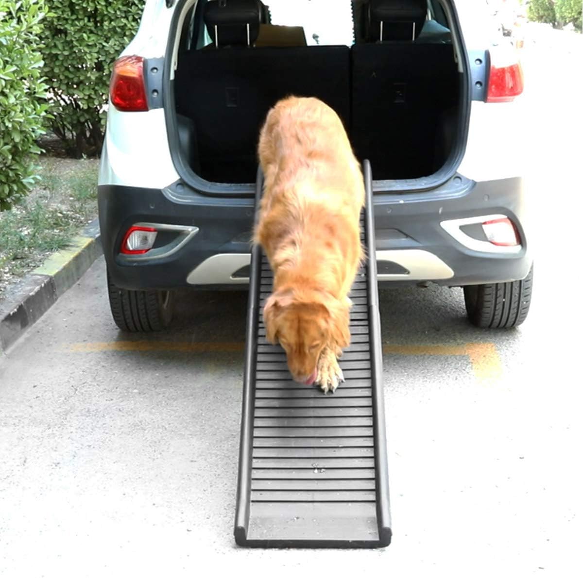 Dog ramp for car back seat Clearance