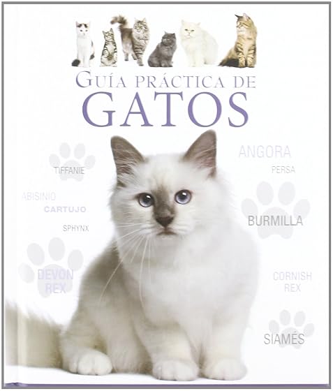 Guia practica de gatos
